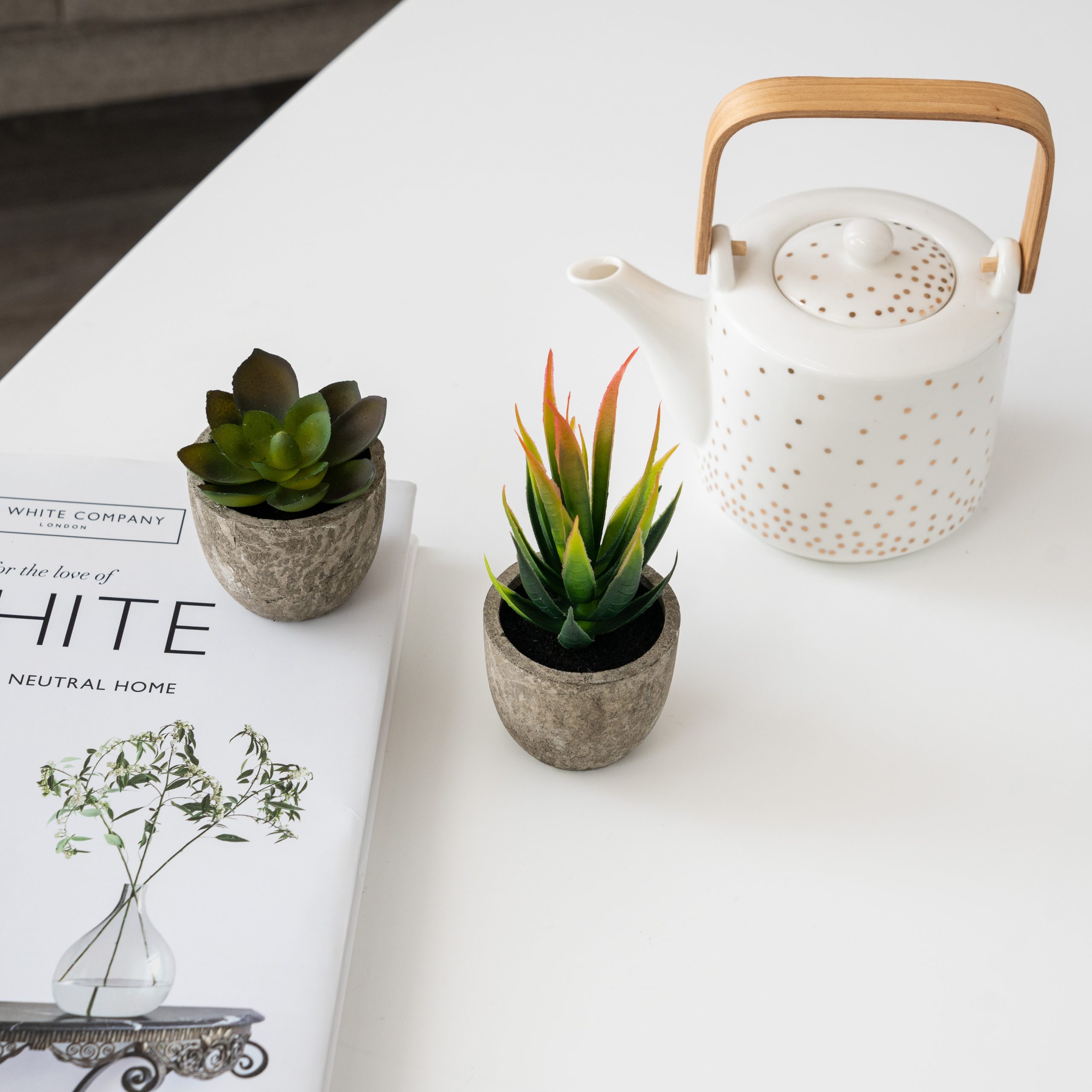 fotostudio mieten essen NRW